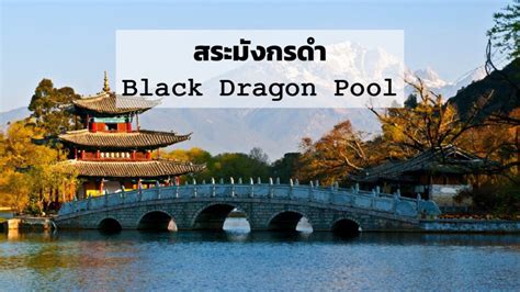 Black Dragon Pool, Hidden Gem of Ancient Splendor and Tranquil Beauty!