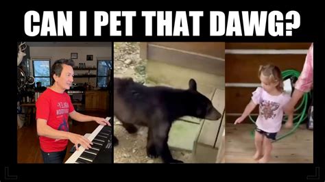 Can I Pet That Dog Meme: A Deep Dive into Internet Culture and Canine Fascination