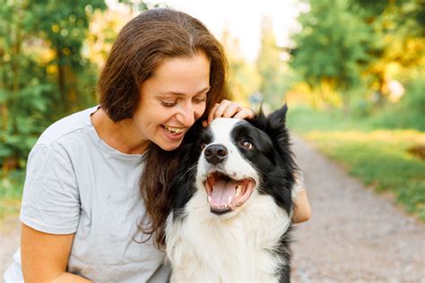 Do All Animals Like Being Pet? And Why Do Some Prefer a Good Scratch Behind the Ears?