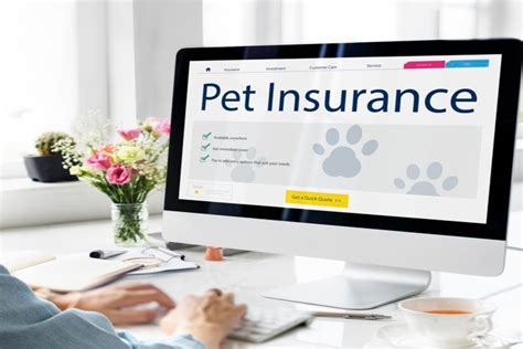 Does Pet Insurance Cover Anxiety Medication? Exploring the Unpredictable World of Pet Healthcare