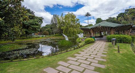  Jardín Botánico de José Celestino Mutis: Discover Lush Biodiversity and Ancient Colombian Traditions!