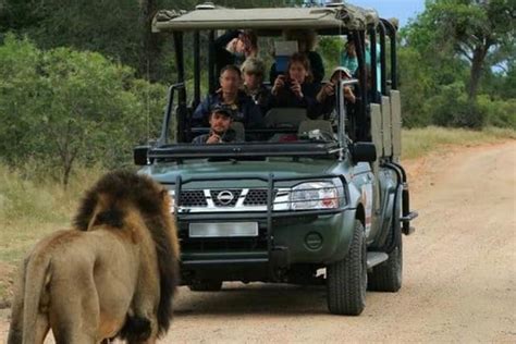 Kruger National Park: A Wildlife Paradise Teeming with Diverse Species!