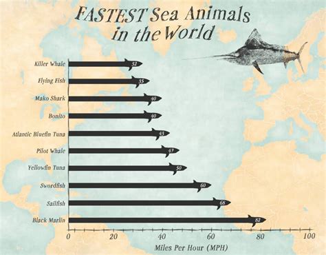 Whats the fastest sea animal, and can it outrun a submarine in a game of underwater tag?